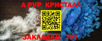 хмурый Кингисепп