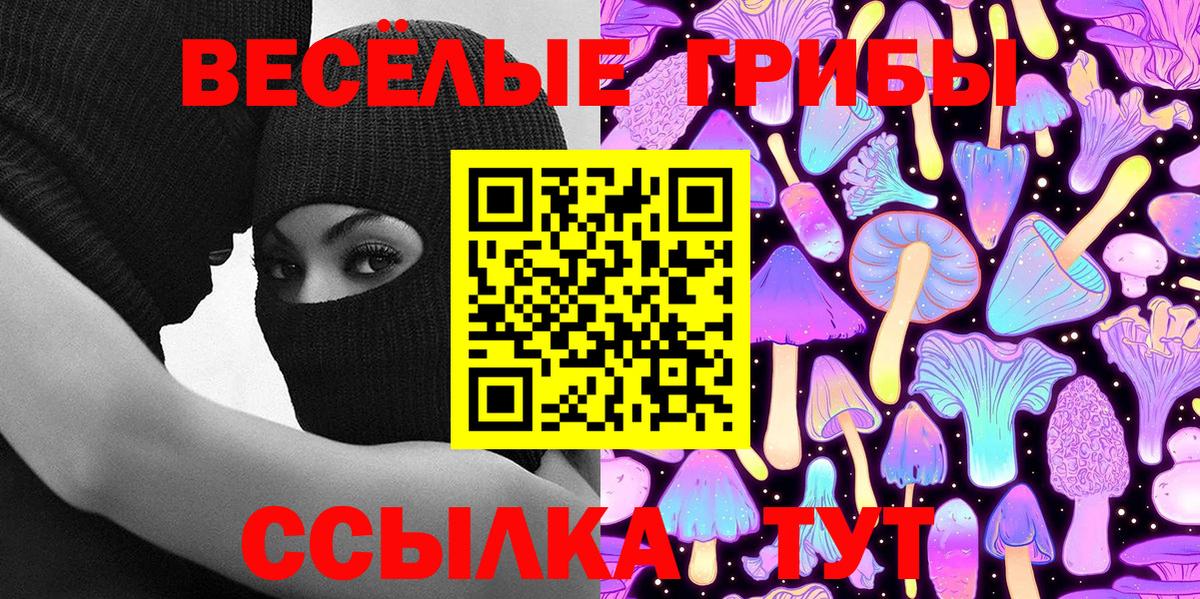 Галлюциногенные грибы Cubensis Лысьва